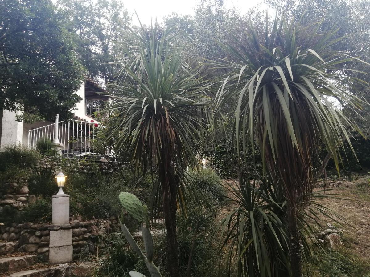 La Mhirabelle Otel Saint-Paul-de-Vence Dış mekan fotoğraf